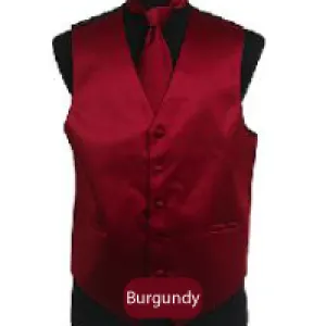 Burgundy Mens Solid Vest