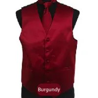 Burgundy Mens Solid Vest