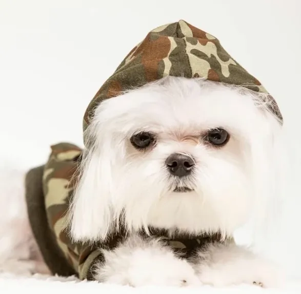 camo riley hoodie - last one!