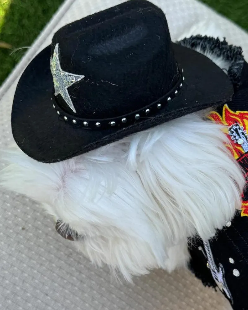 Cowboy Hat for Dogs in Black or Pink