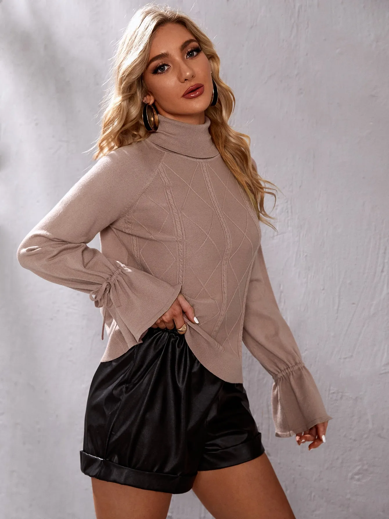 Elegant Plain Drawstring Long Sleeve High Neck Regular Women Sweater